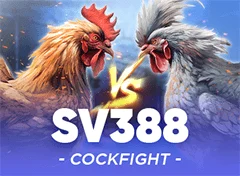 SV388 Cockfighting at Winbox